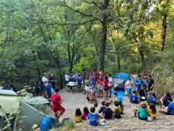 Para comer estão sempre sossegados