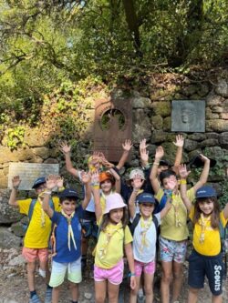 ui.... acho que já perderam lobitos